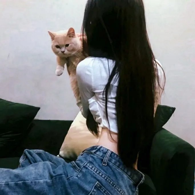明明可以靠武力,娘子非要靠脑子